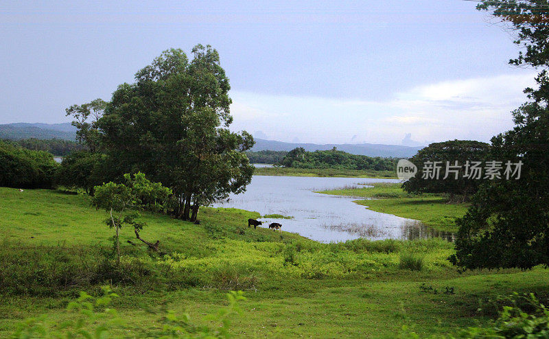 Cuba - Viñales  - landscape